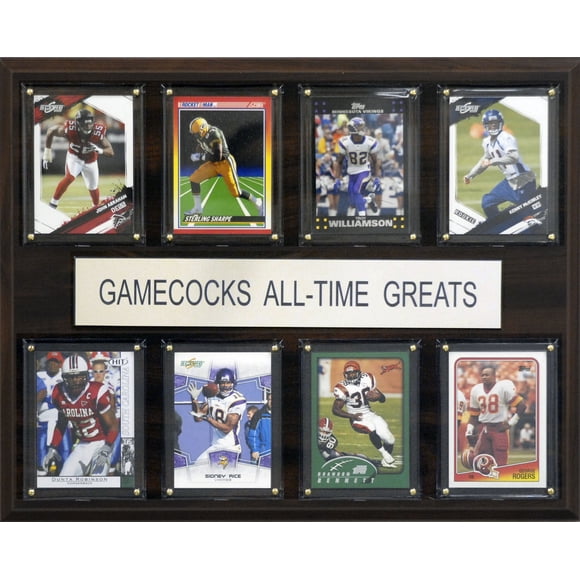 Placa C&I Collectables NCAA Gamecocks de Carolina del Sur