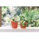 thumbnail image 5 of Macetas autorregables GARDENIX DECOR de 5" - paquete de 2, terracota, 5 of 6