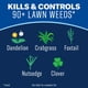 thumbnail image 2 of BioAdvanced Concentrado Eliminador de Malezas y Crabgrass para Césped 3,8 L, 2 of 9
