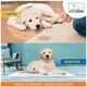 thumbnail image 5 of 50 Pañales Sabanillas Entrenamiento Mascota Perro 45x60 Cms, 5 of 5