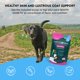 thumbnail image 4 of Suplementos Para Piel Y Pelaje De Perros 60 Unidades, 4 of 7