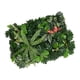 thumbnail image 4 of Panel De Pared De Hierba Fotografía Decoración Hojas Setos Artificiales Plantas F, 4 of 5