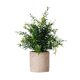 thumbnail image 5 of Mini Planta Falsa En Maceta, Regalo De Inauguración De La Casa, Decoración Para El Hogar, Dormitorio, Balcón, Estilo B, 5 of 5