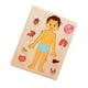 thumbnail image 3 of Rompecabezas Montessori Del Cuerpo Humano, Habilidades Motoras Finas, Aprendizaje De Partes Del Cuerpo Para Niños Y Niños, 3 of 5