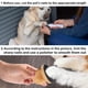 thumbnail image 5 of Lima de uñas para perros Nexolia con 9 discos reemplazables, 5 of 7