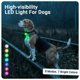 thumbnail image 2 of Collar LED PAJ GPS para Perro (Pack de 2), Impermeable, 7 Colores, 2 of 8
