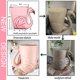 thumbnail image 4 of Taza para Beber Renawe 16oz Taza de Cerámica Rosa con Flamenco, 4 of 7