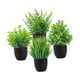 thumbnail image 3 of Pequeñas Plantas Falsas Planta De Interior Bonsai Artificial Para Baño Sala De Estar Escritorio, 3 of 3