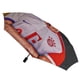 thumbnail image 3 of Harry Kane Sombrilla Plegable Automática De 3 Pliegues Parasol Para Actividades Al Aire Libre Regalos Para Aficionados Amigos Familia Y Parejas (2), 3 of 6