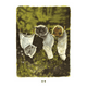 thumbnail image 2 of Lacombe - Retratos Gatunos, 2 of 6