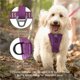 thumbnail image 4 of Kurgo Arnés para perro Tru-Fit Smart mediano violeta profundo, 4 of 6