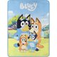 thumbnail image 1 of Northwest Bluey Micro Raschel Throw Blanket, 46 x 60, Family, 1 of 3
