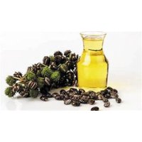 Aceite Prensado En Frío De Ricino 1 Lt