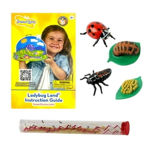Kit De Cultivo De Mariquitas, Recambio Insect Lore Live Baby Ladybug