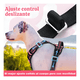 thumbnail image 3 of Set arnés correa collar porta GPS, 3 of 3