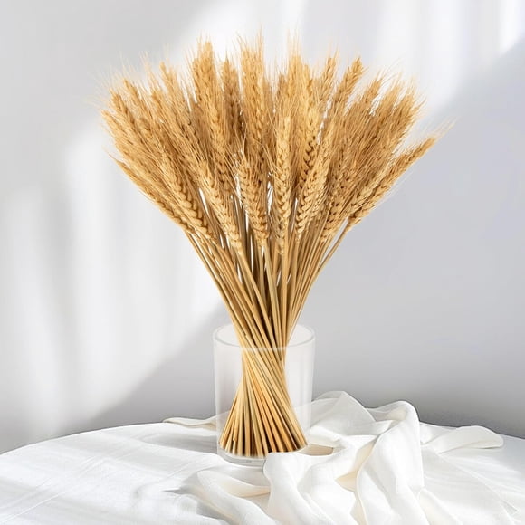 Espigas de Trigo Secas Sukh, 100 Tallos, 12.9 in