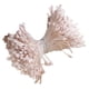 thumbnail image 1 of 360 Piezas 6cm Perla Artificial Cabezas Dobles Flor Estambre Pistilo Rosa, 1 of 3