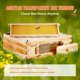 thumbnail image 3 of Caja para colmenas Beehive VEVOR, tamaño mediano, tamaño Super Bee, de 10 marcos, con ventanas, 3 of 9