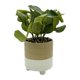 thumbnail image 3 of Planta Artificial 26cm, 1 unidad, 3 of 4
