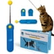 thumbnail image 1 of Clicker para Entrenamiento de Gatos CAT SCHOOL con Clicker de Dedo Desmontable, 1 of 9