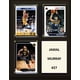thumbnail image 1 of Placa C&I Collectables NBA Denver Nuggets 20 x 25 cm color café, 1 of 1