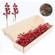 thumbnail image 1 of Ramas de Bayas Artificiales LLZLL, 32 Unidades, 6.5 in, 1 of 1