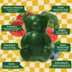 thumbnail image 2 of Vitaminas en Gomitas Grüns Super Greens Kids 3 Dosis Veganas, 2 of 2