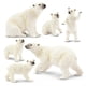 thumbnail image 1 of Figura de juguete Toymany de la familia de osos polares, 6 unidades, para niños mayores de 3 años, 1 of 8