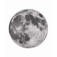 Genérico - Rompecabezas Redondo Luna Pcs Juguete Educativo Gris