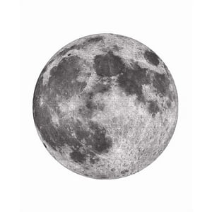 Genérico - Rompecabezas Redondo Luna Pcs Juguete Educativo Gris