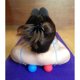 thumbnail image 3 of Pelotas de Masaje Lacrosse Kieba de 2,5 Pulgadas, 3 of 3