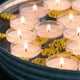 thumbnail image 2 of Velas de té Stonebriar, blancas, sin perfume, 96 unidades, 2 of 7