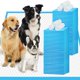 thumbnail image 1 of Tapetes absorbentes para perros IMMCUTE 91 cm x 91 cm 30 unidades, 1 of 8