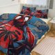 thumbnail image 1 of Spiderman Bedding Sets for Kids Men Women, 1 of 5