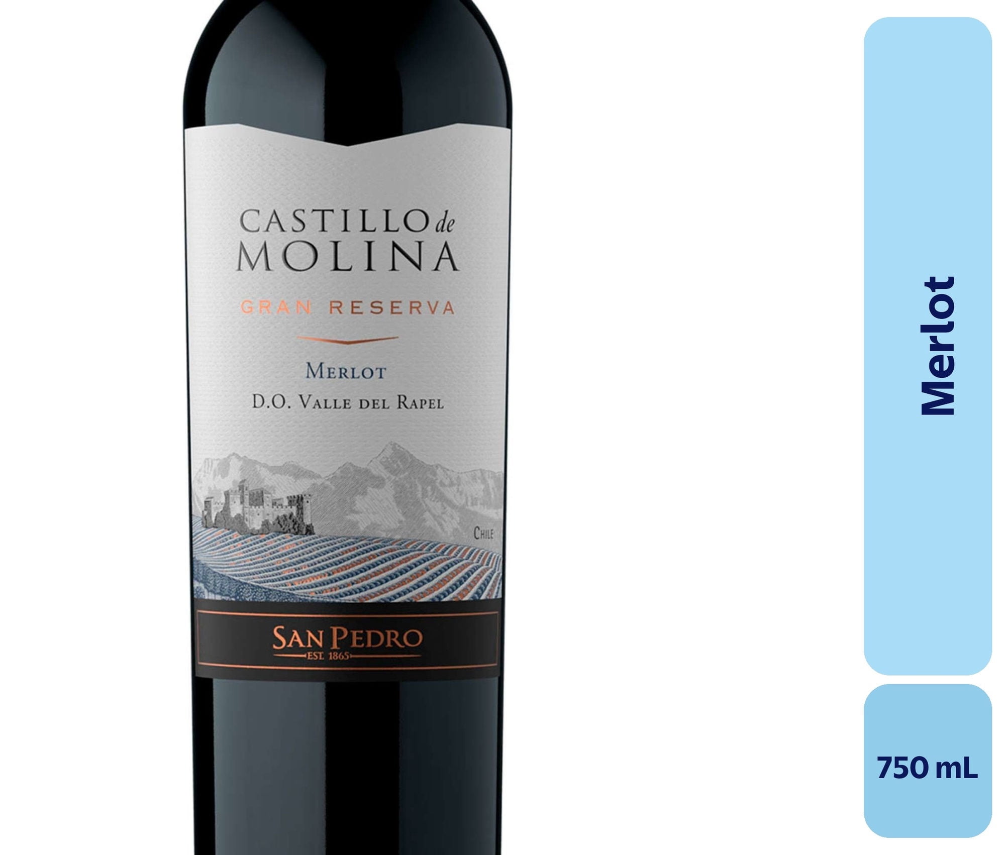 Vino Merlot Botella 750 mL Castillo Molina