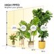 thumbnail image 4 of Luces de cultivo de pie SANSI T10 55W 144 LED de espectro completo, 4 of 9