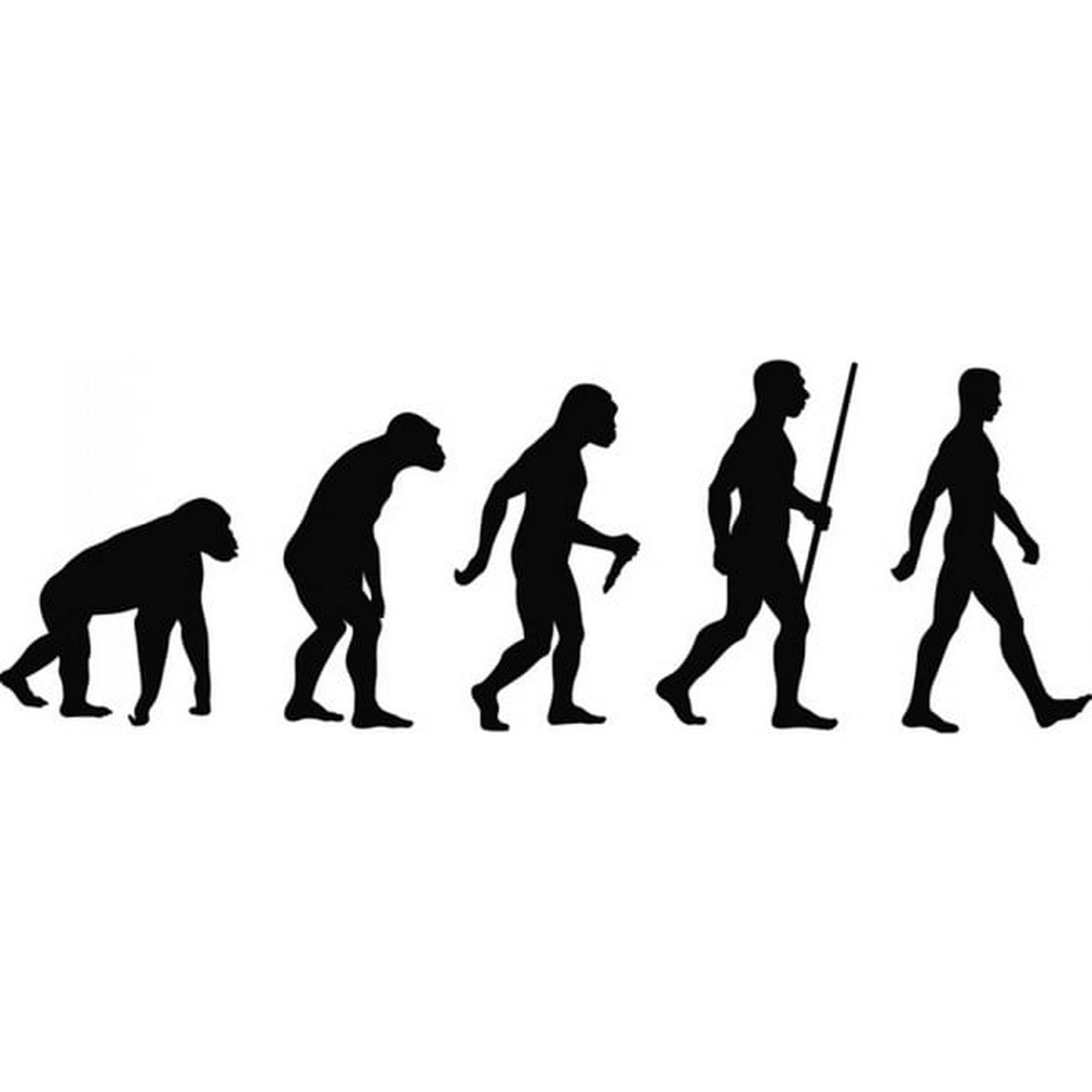 Rienda Libre Graphics - Decomural Evolution Of Man Ws-17680