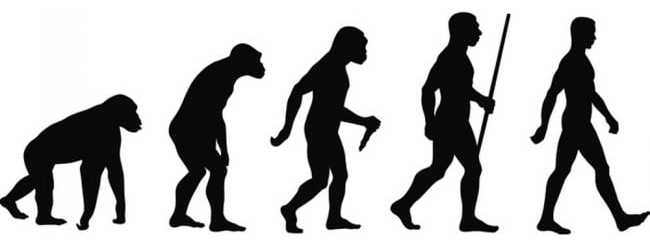Rienda Libre Graphics - Decomural Evolution Of Man Ws-17680