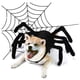 thumbnail image 1 of Disfraz de araña con patas peludas para perros, halloween, talla S, 1 of 3