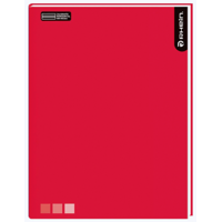 Pack 10 Cuadernos Rhein College One Color 7Mm 100 Hojas