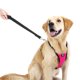 thumbnail image 5 of Cinturón de seguridad para perros VavoPaw, arnés de seguridad para coche, nailon, magenta, XL, 5 of 5