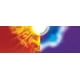 thumbnail image 3 of Videojuego Nintendo 3DS Pokemon Sun Edition, 3 of 5