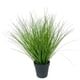 thumbnail image 1 of Pasto Con Caida Verde 45cm Artificial, 1 of 3