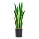 thumbnail image 1 of Planta Artificial Lengua De Suegra Planta Sansevieria Flores, 1 of 7