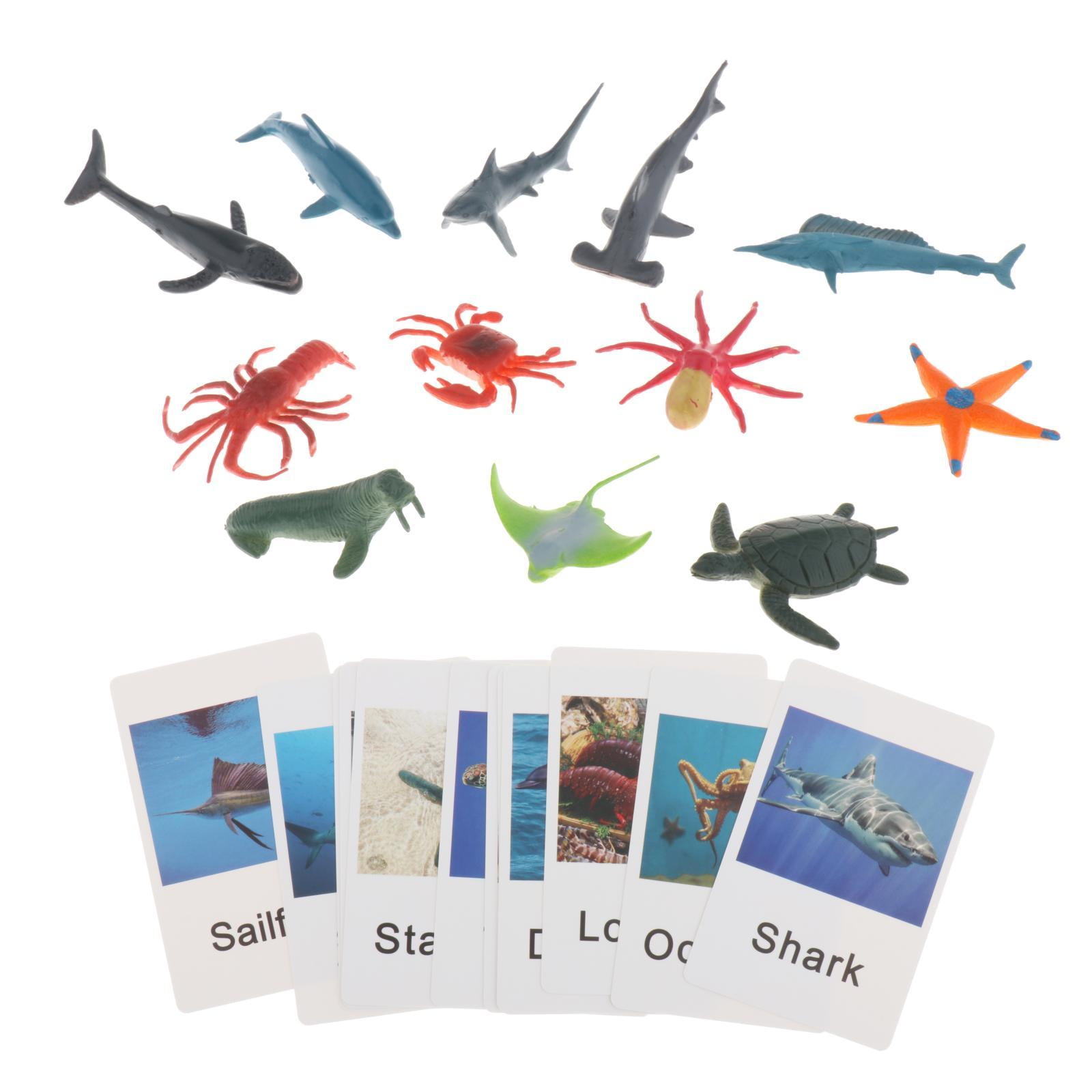 Bothyi - Figuras De Animales Montessori Para Combinar Con Animales, Juguetes Para Regalo De Vacaciones, Animales Marinos Para Escuela En Casa