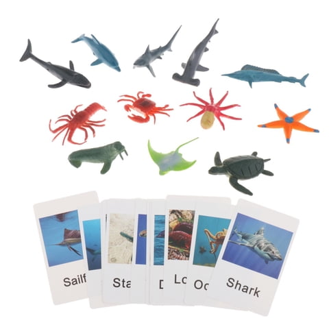 Bothyi - Figuras De Animales Montessori Para Combinar Con Animales, Juguetes Para Regalo De Vacaciones, Animales Marinos Para Escuela En Casa