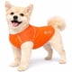 thumbnail image 1 of Playera sin Mangas para Perro Pet Life Active Aero-Pawlse Jaspeada, 1 of 9