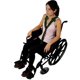 thumbnail image 1 of Sujetador De Paciente Para Sillas De Ruedas-Blunding, 1 of 2
