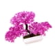 thumbnail image 3 of Árbol De Bonsái Artificial, Plantas Falsas Decorativas En Maceta Para El Hogar, Granja, Escritorio, Color Rosa, 3 of 3