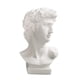 thumbnail image 2 of David Head Planta Maceta Florero Decorativo Busto Estatua Jardinera 6CM, 2 of 3